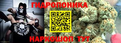 гашик Кунгур