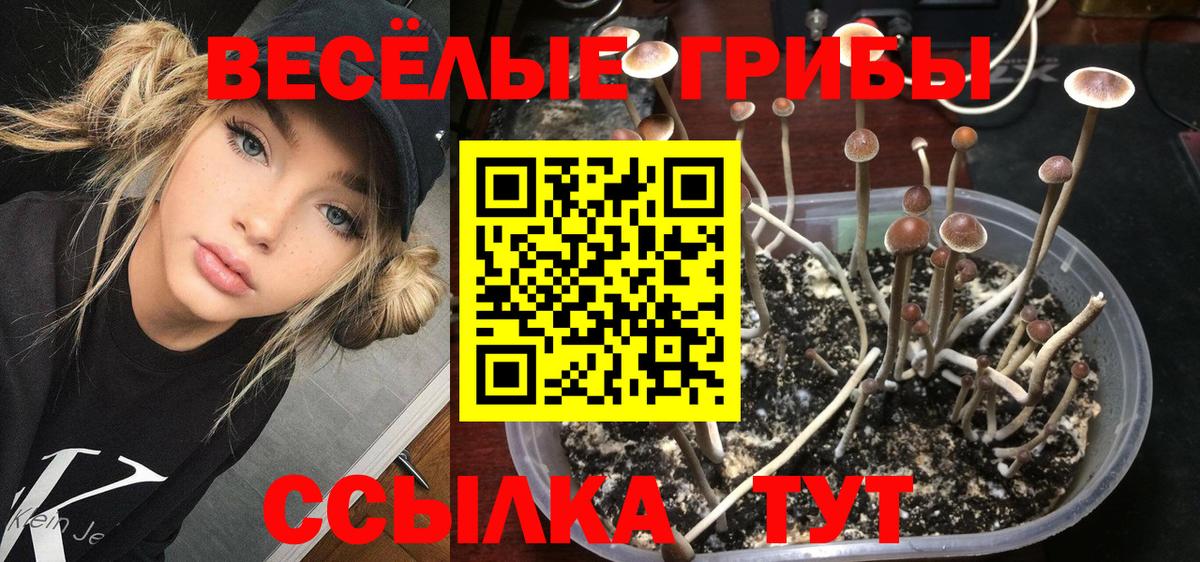 Азов  купить  цена  Вход с VPN  Псилоцибиновые грибы мицелий 